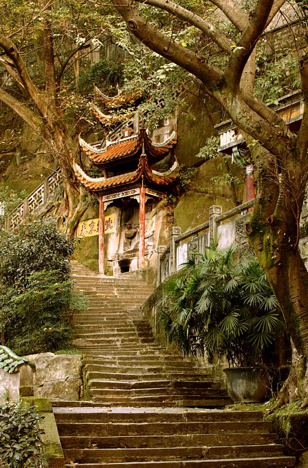 China steps chinese