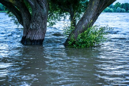 Current rhine flood