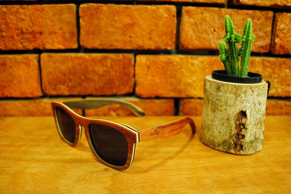 Vintage cactus