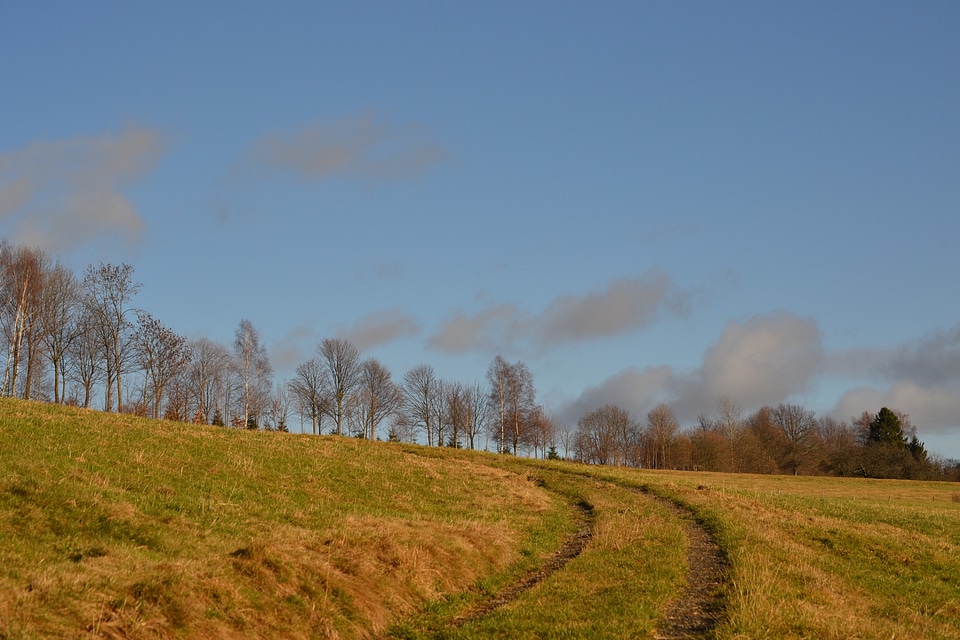 Cloud blue trees grass