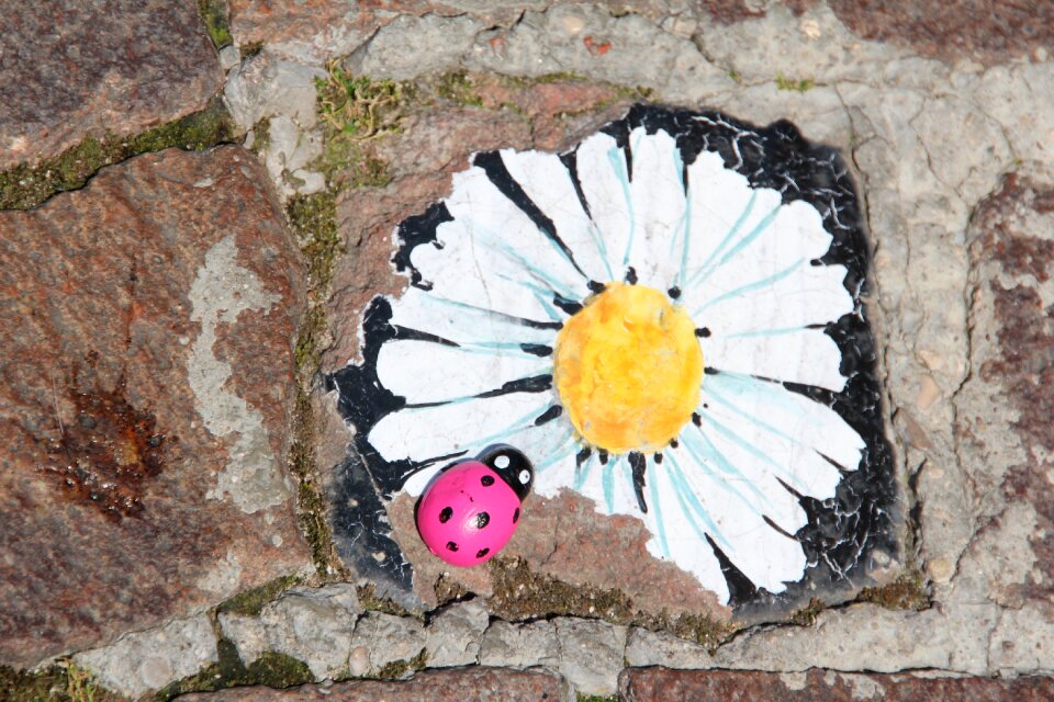 Street painting ladybug magenta