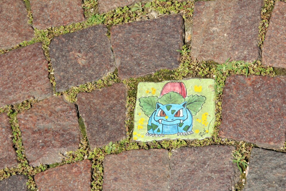 Bardolino pokemon paving stone