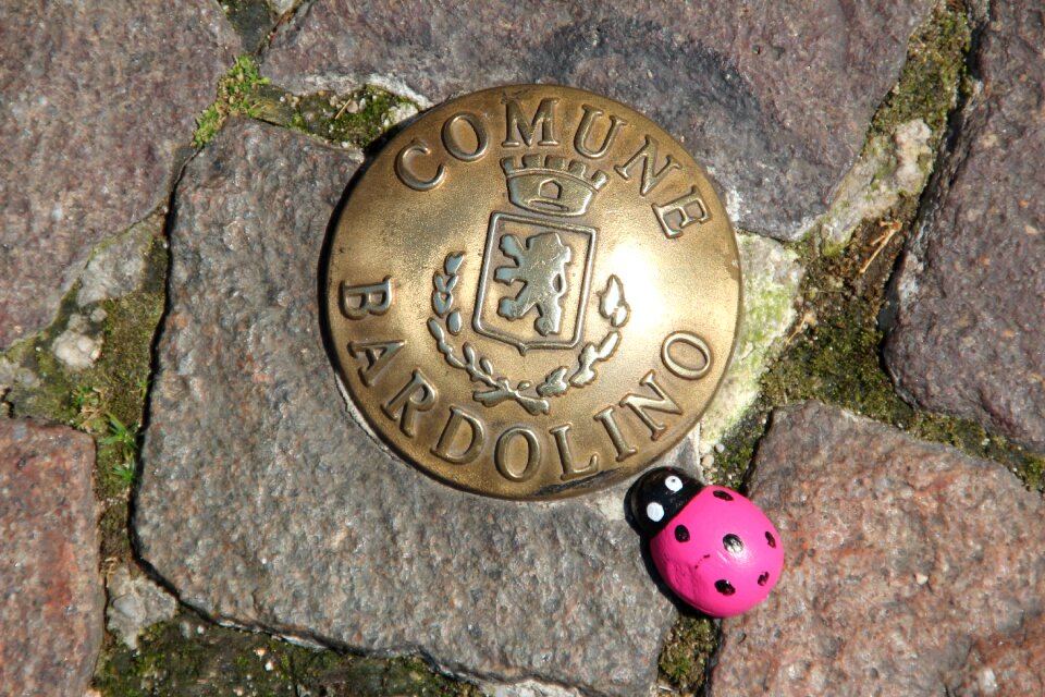 Italy ladybug magenta