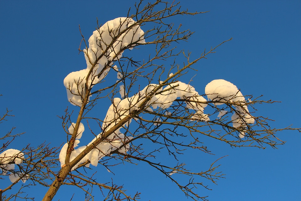 Snow sky snow magic