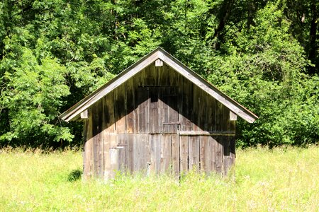 Hut wood nature photo