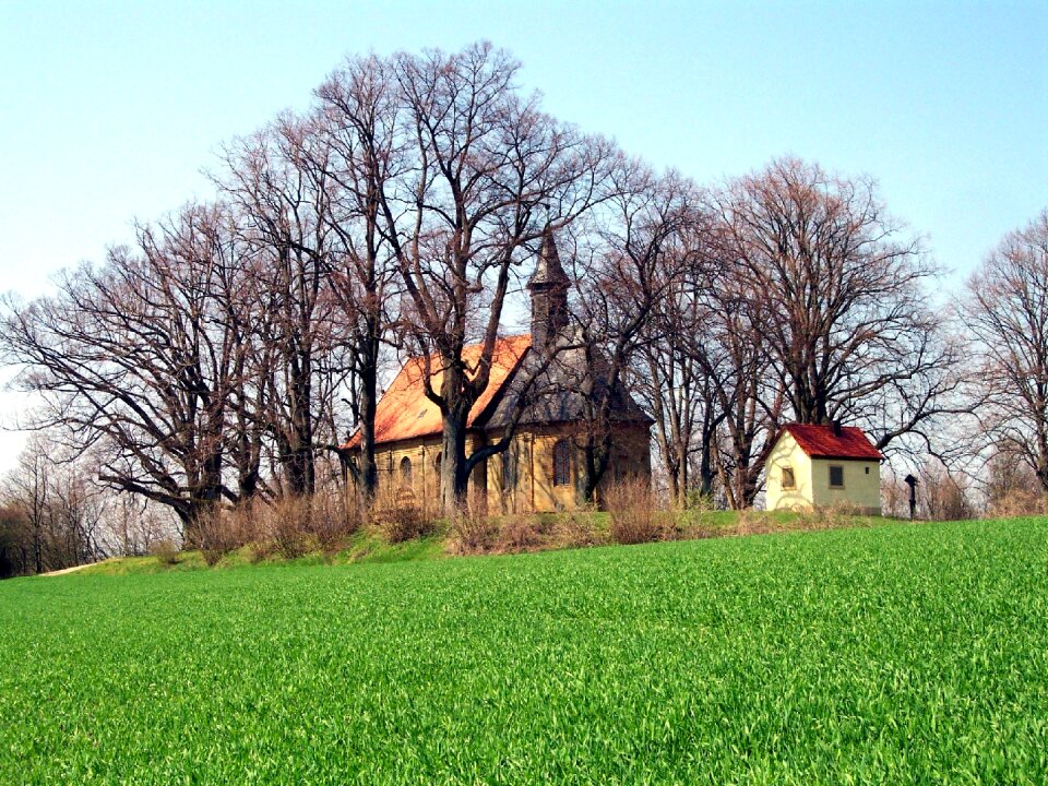 Nature landscape rural