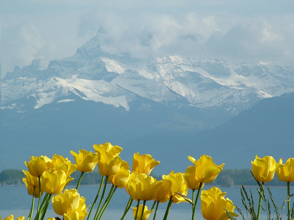 Lake geneva montreux switzerland