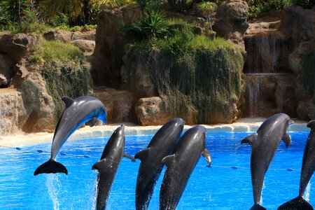 Tenerife fun water