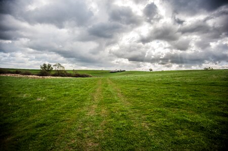 Landscape grass mecklenburg
