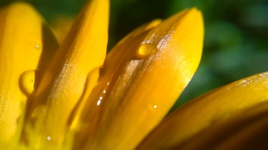 A drop of nature garden