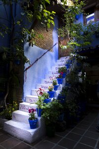 Spain flowers flowerpot photo