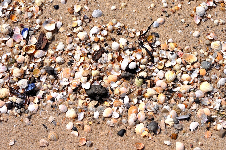 Ebb washed ashore washed up on photo