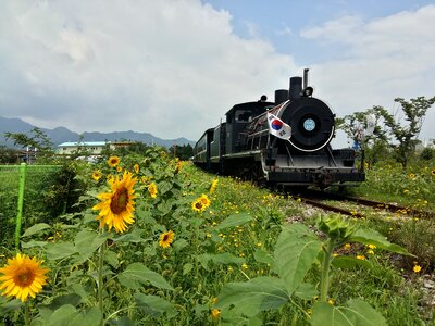 Railway transportation sunflower photo