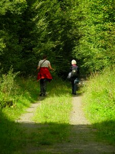 Nature hiking idyllic