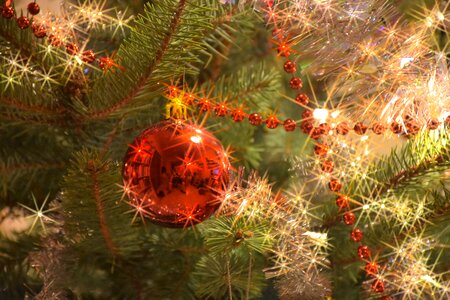 Needles light christmas tree