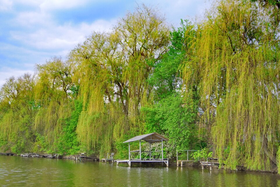 Nature tranquility appeasement
