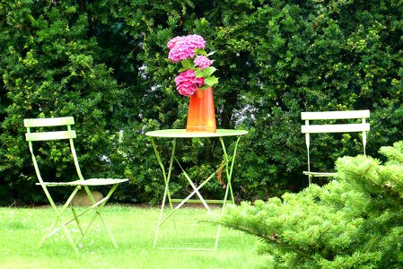 Flowers green chair photo