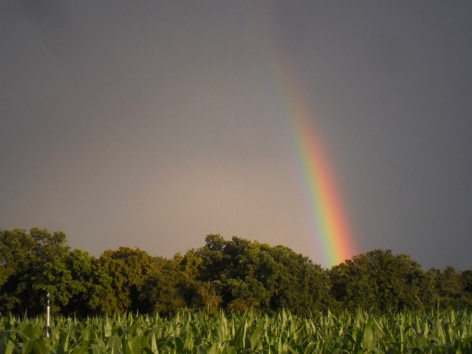 Nature storm alsace