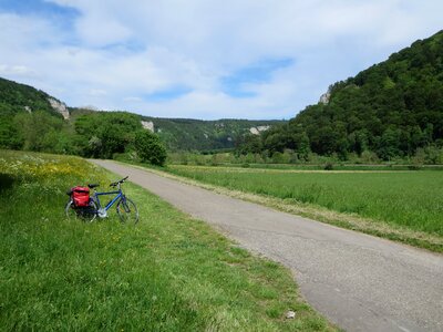 Waylandscape summer bike