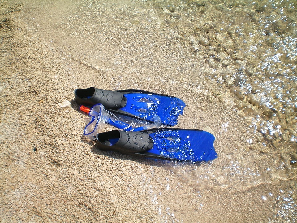 Sea snorkeling swim