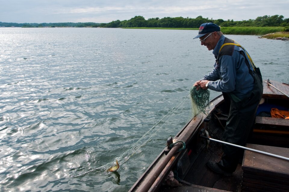 Fish water catch photo