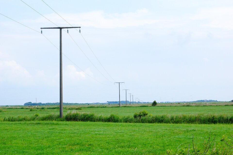 Power poles power line electricity