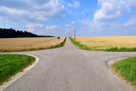 Decision landscape fields photo