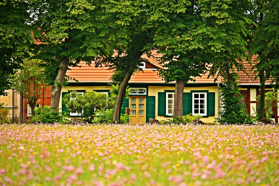 Meadow flower meadow truss