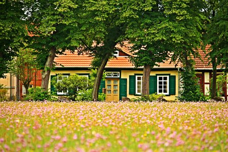 Meadow flower meadow truss