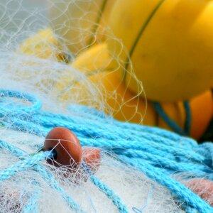 Fishing nets france fishing