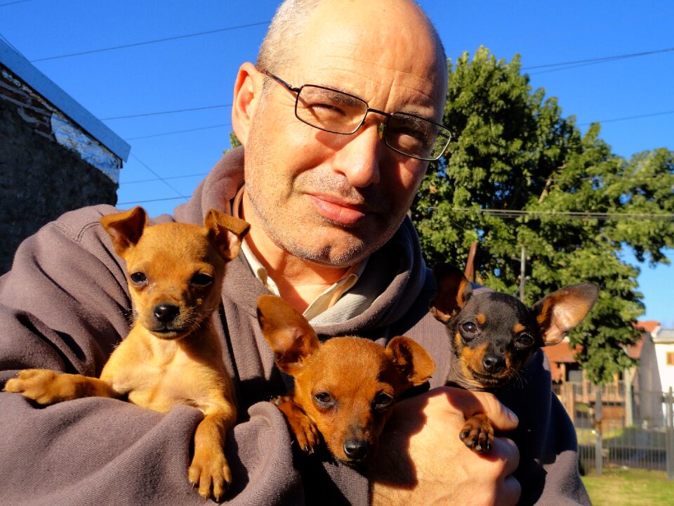 The lupe hatchery dog
