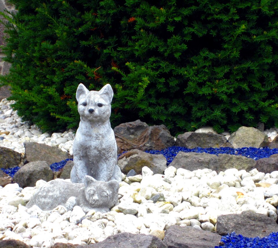 White sitting lying