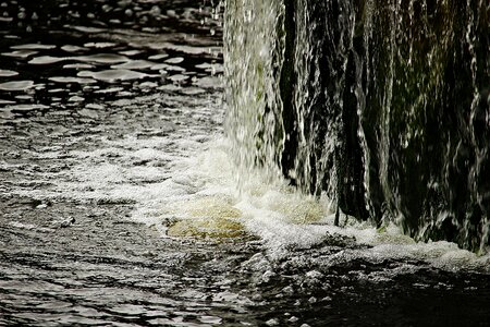 Waters drip bach