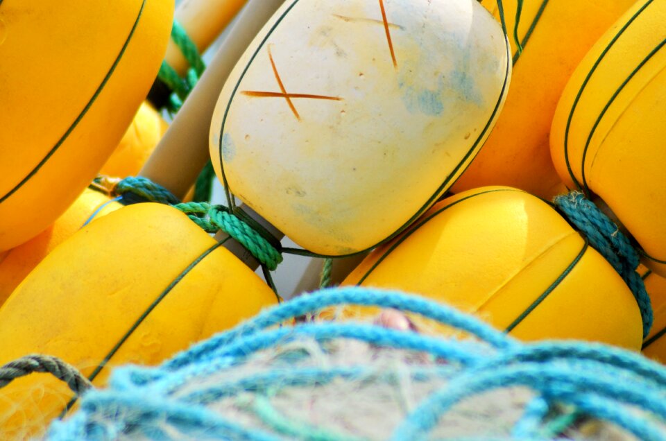 Fishing nets france fishing