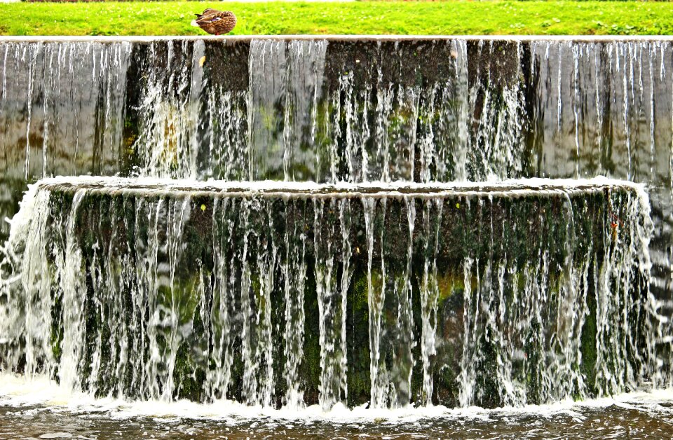 Waterfall duck castle