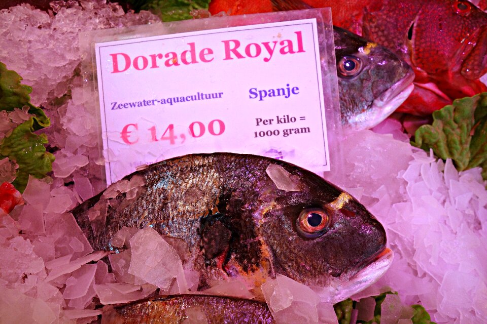 Fresh fresh fish raw fish