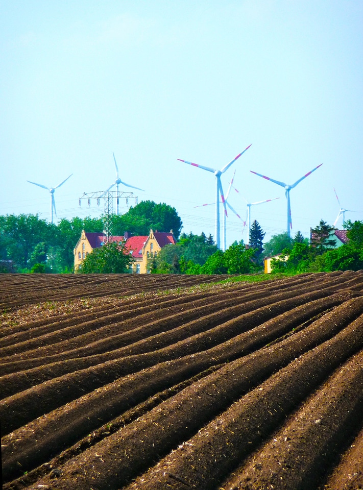 Crops earth ploughed
