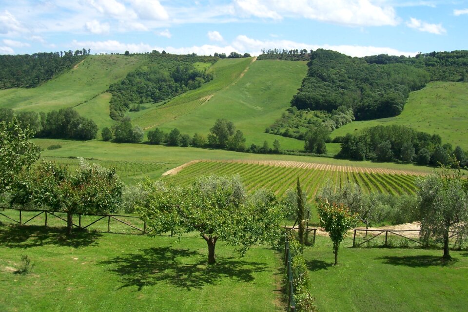 Hill cottages-vacation rentals green