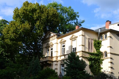 House ornaments facade