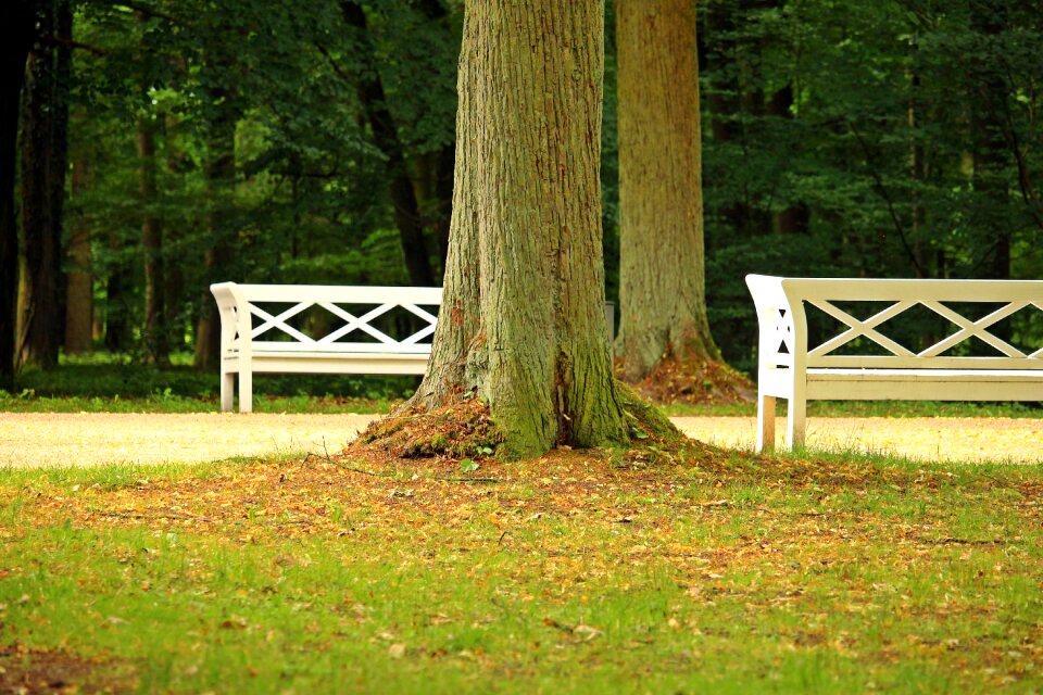 Ludwigslust-parchim park schlossgarten