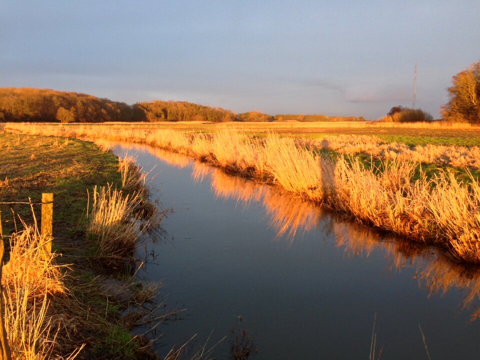 Evening light streams fishing