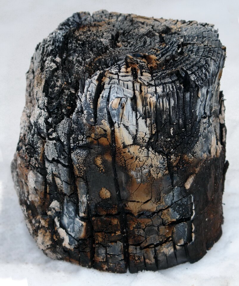 Snow sooty bonfire