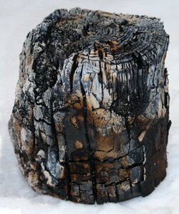 Snow sooty bonfire