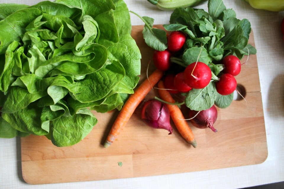 Healthy green onion