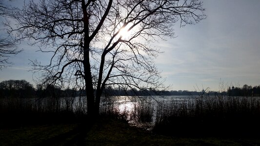 Nature lake backlighting