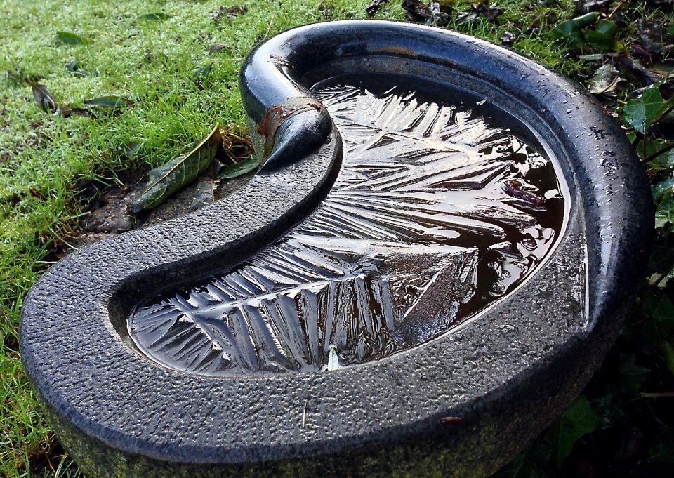 Have bird bath frost