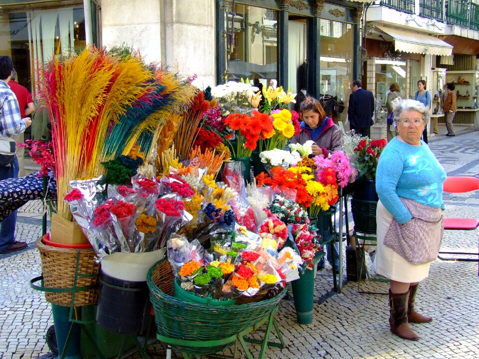 Travel lisboa portuguese