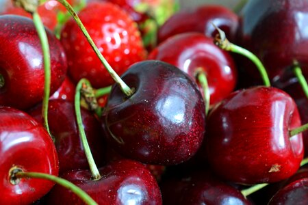 Fruits strawberry cherry harvest photo