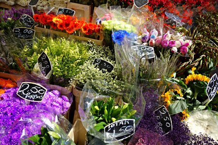 Bouquet bunch market photo