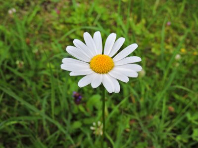 Nature plant public record
